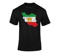 Iran Persian Lion Flag T Shirt for Adults and Kids Sun Emblem, Vintage Persian Heritage Iranian Heritage Graphic Tee Black 7-8 Years Style 1