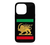 Iran Persian Persepolis Case for iPhone 13 Pro