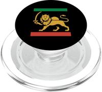 Iran Shir o Khorshid Lion & Sun Emblem Iranian Flag Symbol PopSockets PopGrip for MagSafe