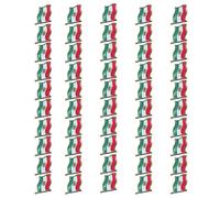 Iranian Flag Badge Craft of Iron Alloy with Sharper Design Lines for Collectors Tradition Flag Brooch