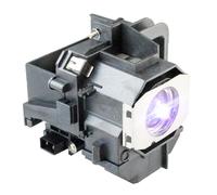 iReijomoi Replacement Lamp V13H010L49 Bulb with Housing for EPSON ELP-LP49 PowerLite Home Cinema 8350 H373a H419a 6100 6500UB 8100 8345 8500UB 8700UB Projectors