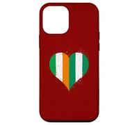Ireland Nigeria Flag in Cool Heart for Proud Nigerian Irish Case for iPhone 12 mini