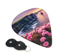 Ireland Outdoors County Clare The Cliffs Guitar Plectrums, 6 Guitar Plectrums, Double Sided Printing, For Acoustic Guitar, Bass, Ukulele, Electric Guitar (0.46 Mm 0.71 Mm 0.96 Mm)