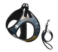 Ireland Outdoors County Clare The Cliffs Print Dog Harness Reflective Pet Vest Harness Puppy Harnesses Leash Set,For Walking Training
