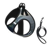Ireland Outdoors County Clare The Cliffs Print Step in Dog Harness and Leash Set,Adjustable Reflective Harness for Small Dogs Cats
