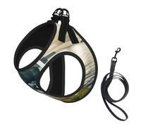 Ireland Outdoors County Clare The Cliffs Printing Dog Summer Harness With Leash Set,Adjustable And Reflective Step-In Puppy Pet Vest Harnesses