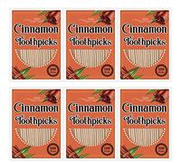 Irenare 600 Pcs Toothpick Cinnamon Wood Flavored Cinnamon Toothpicks Bulk for Adults Disposable Oral Hygiene Teeth Dental Care, 6 Pack