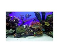 IRFHDCX Fish Tank Background PVC Fish Tank Decoration Poster Double Side 3D Background For Aquarium Ocean Plants Landscape Painting Sticker Decor Ornament(Black-A,40x80cm)