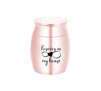 IRFHDCX Pet Urns For Dogs Ashes Pet Human Ashes Aluminum Alloy Cremation Urn Funeral Urns For Cat Dog Animal(Rose Gold 30x40MM)