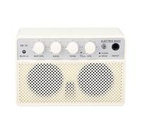 Irfora 10W Portable Rechargeable Bass Amplifier, Dual Channel Electric Amp, BT Speaker with AUX Input, Ideal for On-the-Go Performances, Easy to Carry