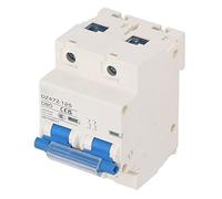 Irfora 2P Mini Circuit Breaker 80A, 10KA Capacity (Blue)