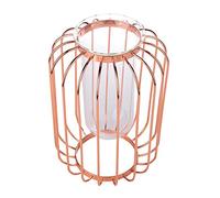 Irfora Lantern Shaped Wrought Iron Vase with Glass, Creative Simple Design for Home and Office Decor, Hydroponic Terrarium Planter for Plants, 8.27x4.33inch, Champagne Gold (Rose Gold)