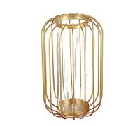 Irfora Lantern Shaped Wrought Iron Vase with Glass, Creative Simple Design for Home and Office Decor, Hydroponic Terrarium Planter for Plants, 8.27x4.33inch, Champagne Gold (Champagne Gold Trumpet)