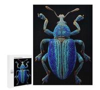 Iridescent Blue Weevil Macro Photography Puzzle for Adults, 500 PCS, Illustrated Jigsaw Edition, Classic Jigsaw Entertainment for The Home, at Home