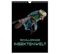 Iridescent insect world UK-Version (Wall Calendar 2026 DIN A4 Portrait), CALVENDO 12 Month Wall Calendar