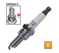 IRIDIUM IX SPARK PLUG - NGK DPR9EIX-9 - STOCK No. 5545 - SINGLES - 5545