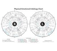 Iridology Chart - 11x17 Double-Sided Laminated Iris Map with Organ Zones & Emotional Traits - Constitutional Health & Personality Assessment Tool