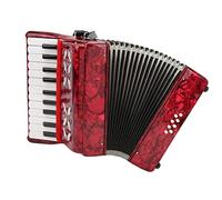 IRIN Accordion 8 Bass 22 Key Beginner Musical Instrument for Children - Exquisitely Crafted, Flexible and Playable - Suitable for Beginners and Students Includes Cleaning Cloth and Strap
