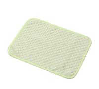 IRIRI Pet Ice Silk Cooling Mat with 3D Massage Nodes | For Dogs & Cats | Dual-Sided Summer Cooling & Breathable Mesh | Home & Floor Use(Comfortable Light Green,M)