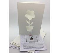 Iris Folding Card Pack Flower in Pot C5 Size Makes 4 Cards DeeCraft