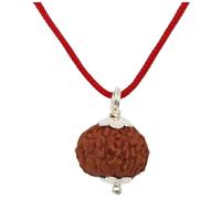 IRIS GEMS 9 Mukhi Rudraksha Pendant Indonesian Nine Face Rudraksha Original IGL Lab Certified Natural Nau Mukhi Rudraksha Beautiful With Thread 9 मुखी रुद्राक्ष Brown Bead Round Shape For Unisex