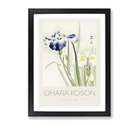 Irises By Ohara Koson Exhibition Museum Asian Japanese Framed Print | A3 Black Framed Wall Art | Ready to Hang | Asian Nature Picture | Living Room Bedroom Lounge Office
