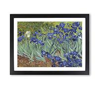 Irises By Vincent Van Gogh Classic Painting Framed Print | A2 Black Framed Wall Art | Ready to Hang | Classic Historical Picture | Living Room Bedroom Lounge Office