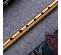 Irish 6 Hole Tin Penny Flute An Essential Tool for Every Musician Interested in Exploring the Depths of Traditional Folk Music Expressions (D)