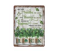 Irish Blessing - May You Troubles Be Less Your Blessings Be More Vintage Tin Sign Motivational Quote Metal Sign Retro Metal Tin Sign Vintage Sign for Home Coffee Bar Club Pub Wall Decor 16x12 Inch