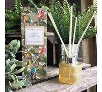 Irish Botanicals Reeed Diffuser - Verveine & Lemon Balm