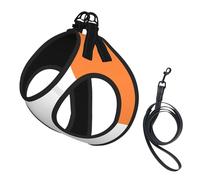 Irish Flag Print Dog Harness,Pet Leash Vest For Small To Medium Dogs,Perfect For Outdoor Adventures