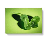 Irish Four Leaf Clover Modern Canvas Wall Art Print Ready to Hang, Framed Picture for Living Room Bedroom Home Office Décor, 60x40 cm (24x16 Inch)