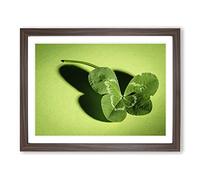 Irish Four Leaf Clover Modern Framed Print | A4 Walnut Framed Wall Art | Ready to Hang | Modern Floral Picture | Living Room Bedroom Lounge Office