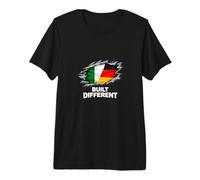 Irish German Flag Different Mixed Heritage Premium T-Shirt