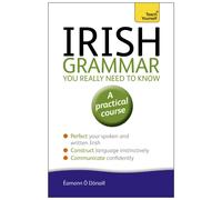Irish Grammar You Really Need to Know: Teach Yourself