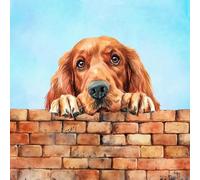Irish Red Setter Dog Art Square Blank Greeting Card - Gift Idea Special Occasion Inside With Envelope Premium Unique Design Animal Cute Illustrated Wildlife Quality Included Uk