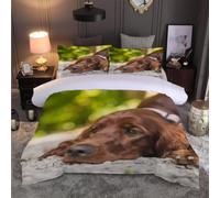 Irish Red Setter Single Duvet Cover Set Cute Animals Bedding 3D Soft Comfort Microfiber Quilt Cover 150x200 cm with Zipper Closure and 2 Pillowcases for Kids Teenager Adults F.1274
