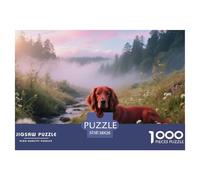 Irish Setter, 1000-piece Jigsaw, Fun Family Activity And Brain Training, Great for Presents Or Artistic Display, Suitable for Ages 8+, Pet Dog, 38x26cm/1000pcs