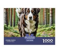 Irish Setter 1000 Pieces Jigsaw Puzzles Engaging Home Decoration Jigsaw Puzzles Home Decoration for Adults And Kids 52x38cm/1000pcs
