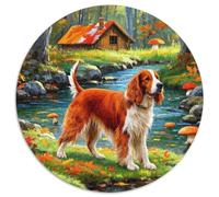 Irish Setter 1000 Pieces Jigsaw Puzzles For Adults Educational Games Stress Relieving Entertainment Cultivate The Spirit of Teamwork for Adults And Kids, Age 12 Years Up 1000pcs (67.5x67.5cm)