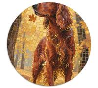 Irish Setter 1000 Pieces Jigsaw Puzzles For Adults Educational Games Stress Relieving Entertainment Exercise The Memory of The Brain For Adults Gifts 1000pcs (67.5x67.5cm)