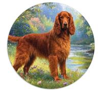 Irish Setter 1000 Pieces Wildlife Jigsaw Puzzles What Happens Next Educational Games for Adults And Kids 1000pcs (67.5x67.5cm)