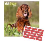 Irish Setter Calendar 2026 | 16 months | with FREE Organisational Stickers, Irish Setter Gift