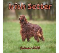 irish setter Calendar 2026: Organizer For Home & Office From January to December For Men, Women