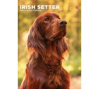 Irish Setter Dog 2027 Calendar, A3, Full Colour, Wirobound (CRU)