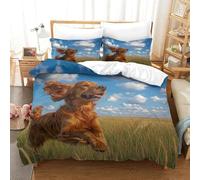Irish Setter Duvet Cover Set 3D Printed Animals Quilt Cover with 2 Pillow Cases Bedding Set Soft Easy Care with Zipper Closure 3 Pcs for Children's And Adults Super King(260x220cm)