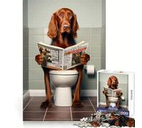 Irish Setter on The Toilet 1000 Piece Teenager Puzzles Reason Boost Tight Connection Playful Challenge Home Display (50x75cm)