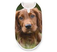 Irish Setter Puppy Cute Funny Dog Vest Cute Sleeveless Pet Shirt Pullover Cats T-Shirts Tank Tops S
