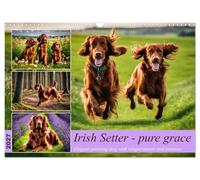 Irish Setter - pure grace (Wall Calendar 2027 DIN A3 landscape), CALVENDO 12 Month Wall Calendar: Elegant pointing dog with temperament and stamina