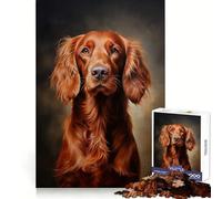Irish Setter Puzzles for Teenagers 1000 Piece Strong Logic Restful Game Joyful Challenge (50x75cm)